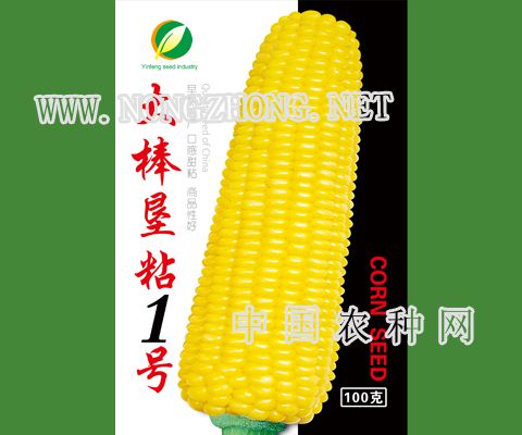 大棒垦粘1号